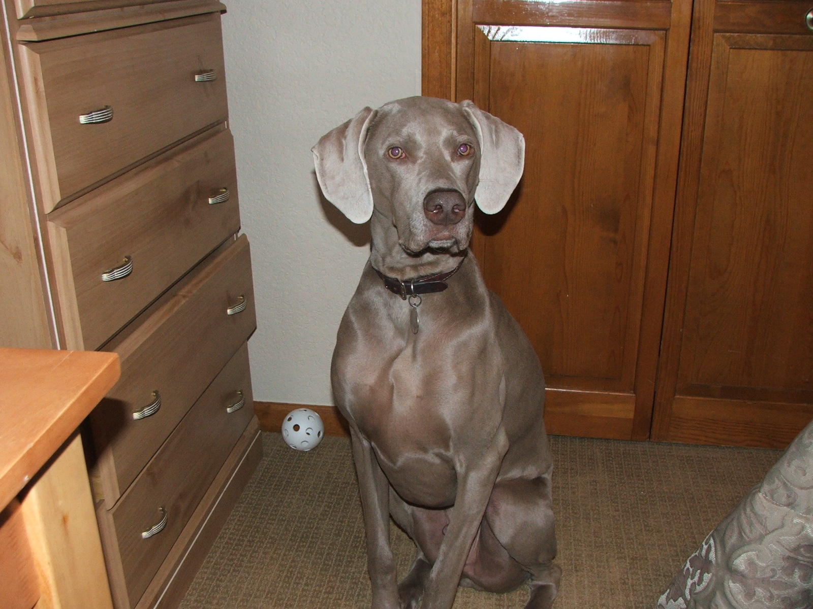 dudley 003.jpg
